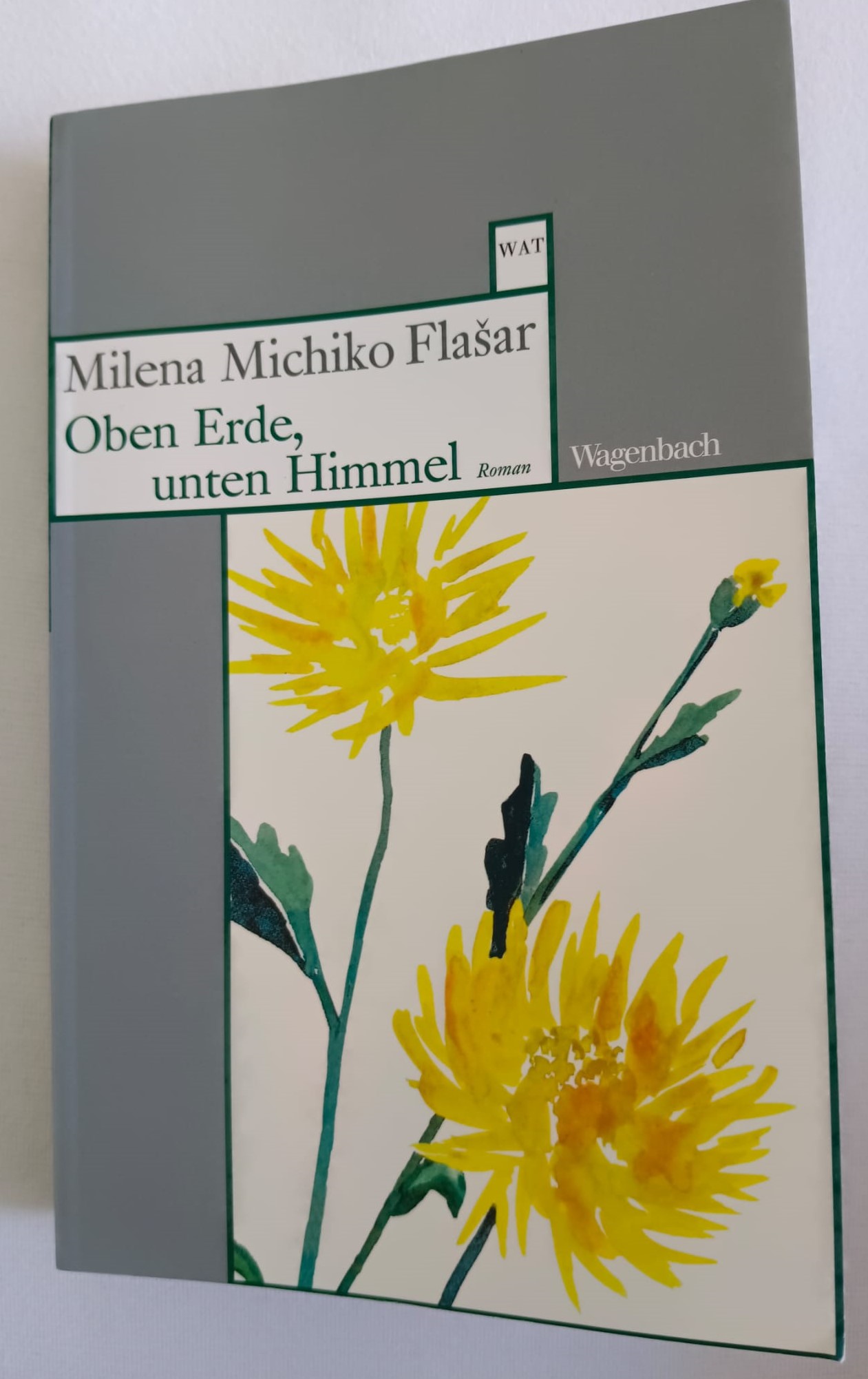 Buchtitel: Oben Erde, unten Himmel